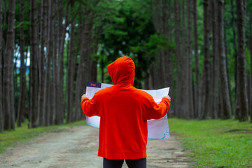 Traveller is looking at the map for direction while exploring wildlife in the pine forest for...