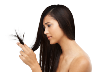 Woman, split ends and hair in beauty with collagen, keratin treatment or texture on isolated, transparent or png background. Salon, haircare or person with damaged hairstyle from haircut or cosmetics