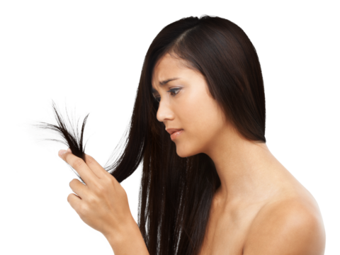 Woman, split ends and hair in beauty with collagen, keratin treatment or texture on isolated, transparent or png background. Salon, haircare or person with damaged hairstyle from haircut or cosmetics