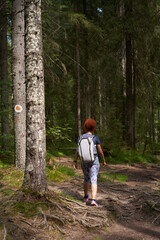 Fototapeta premium Woman hiker on a trail