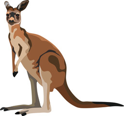 Kangaroo Mammal Animal Vector