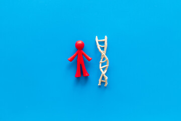 Human rubber figurine and DNA molecule model. Heredity concept