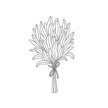 black and white leaves tied together clip art preview