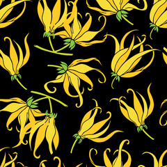 Seamless pattern background with ylang-ylang flowers. Cananga bloom. Floral botanical elements. Hand drawn line vector illustration on black backdrop.