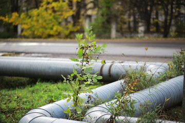 Metal pipes on the street. pipes from the pipeline. gas pipeline for gas pumping. heat-pipe. large...