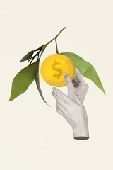 Zelfklevend Fotobehang Image poster picture collage of two human hands holding coin growing lemon fruit isolated on white color background © deagreez