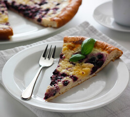Piece of traditional Wallachian blueberry pie called 