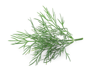 Sprig of fresh dill isolated on white