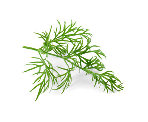 Sprig of fresh dill isolated on white