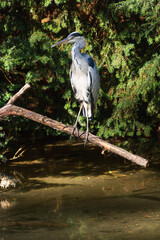 Exotischer Garten on the Grounds of of the University of Hohenheim Stuttgart