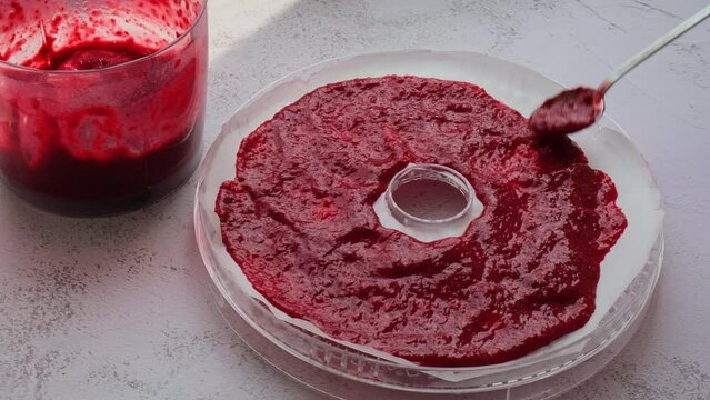 Unrecognizable woman home cooking tasty healthy homemade organic dessert made of different kinds of fruits. Preparing Homemade pastille. Concept of Home production Vegan Dried fruit leather. Healthy