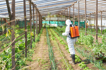 Farmer spraying pesticides on plants