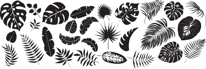 vector patterns. Fashion design