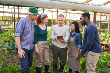 Group of farmers in greenhouse working with tablet computer