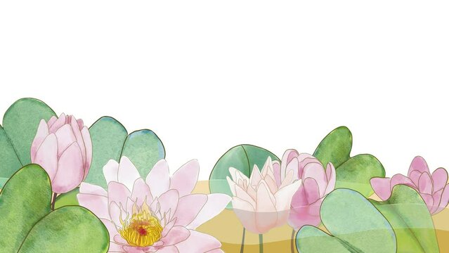 animated water lilies in loop watercolor illustration to create wallpapers, web, promotional posters with transparent background alpha channel