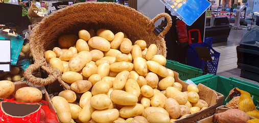 Potatoes in a basket. Selling potatoes in a supermarket. The potato harvest spilled out of the...