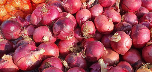 Red onion close up. Selling red onions. Buying onions. Purple onions on display. Red onion contains useful vitamins. Vitamin C. Salad onions.
