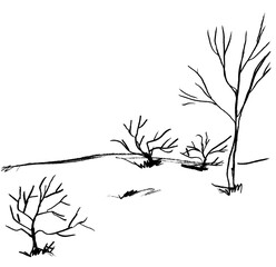 Landscape with bare trees and bushes