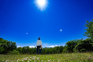 太陽に向かってトランペットを持ちながら草原に立つ女性の後ろ姿
