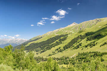Mountain slopes with dense green vegetation