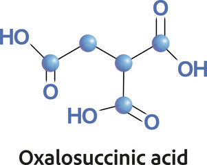 Oxalosuccinic acid is a substrate of the citric acid cycle. It is acted upon by isocitrate dehydrogenase. 