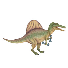 Spinosaurus with dumbbells. Dinosaur athlete. Watercolor illustration isolated on a white background. Hand drawn