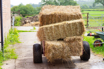 Quad bike moving small bales of hay for animals on farmyard, overloaded and not very safe and...