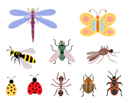 Beetles, insects and bugs set. Vector Illustration for printing, backgrounds, covers and packaging. Image can be used for greeting cards, posters, stickers and textile. Isolated on white background.
