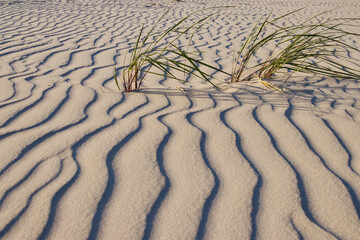 Pofalowany piasek na Bałtyckiej plaży, wavy sand on the beach - obrazy, fototapety, plakaty