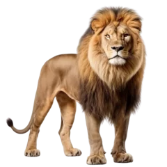 Poster Lion clip art isolated © Alexander