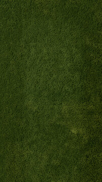 green grass texture, background