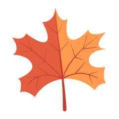 Autumn Maple Leaf Vector