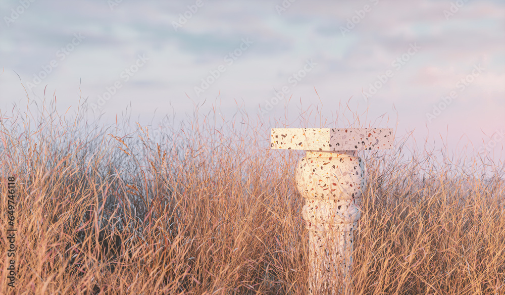 Leinwandbilder abstract autumn scene with a podium for product display. 3d rendering.