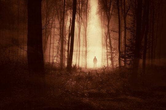 autumn sunset, dark fantasy landscape with man in forest © andreiuc88