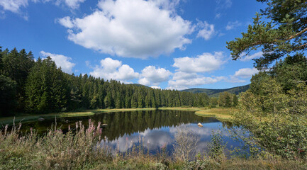 Black Forest landscape at Lake Schluchsee, Baden-Württemberg, Germany