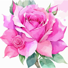 Radiant Blush: Pink Rose in Watercolor