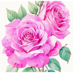 Radiant Blush: Pink Rose in Watercolor