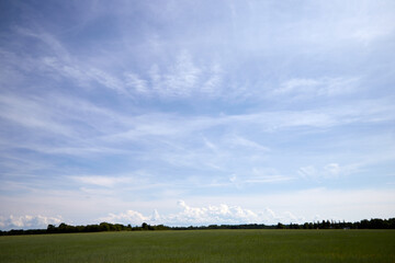 Fototapeta na wymiar Summere scenery with a field and beautiful cloudy sky