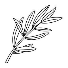 Hand drawn doodle illustrations of olive branches isolated on a white background.