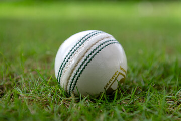 White Cricket ball