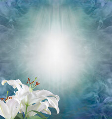 Life Celebration Funeral Wake Order of Service Lily Background Template - white lili head in bottom...
