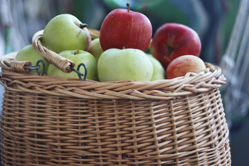 Closeup of the rattan basket filled with beautiful local green and red apples picked in the farmer garden. Ripe, fresh, juicy and healthy apples, harvested in September. Side view. Selective focus.