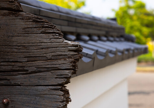 House roof tiles in Ohori-koen park, Kyushu region, Fukuoka, Japan