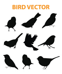 Sets of silhouette birds flying icon, in various species and action expression, create by vector