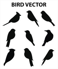 Sets of silhouette birds flying icon, in various species and action expression, create by vector