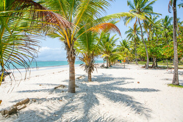 Paradise beach with white sand and palms. Diani Beach at Indian ocean surroundings of Mombasa, Kenya. Landscape photo exotic beach in Africa - obrazy, fototapety, plakaty