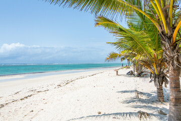 Paradise beach with white sand and palms. Diani Beach at Indian ocean surroundings of Mombasa,...