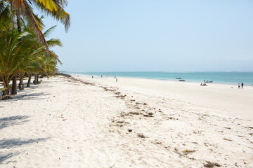Fototapeta na wymiar Paradise beach with white sand and palms. Diani Beach at Indian ocean surroundings of Mombasa, Kenya. Landscape photo exotic beach in Africa