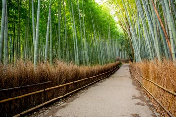 Fotobehang Arashiyama bamboo forest in Kyoto, Japan  © ttinu