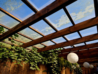 terrace with wooden pergola and plexiglass roof. vines are straining, crawling under the beams. garden or park. sitting with dry wall wine region. restaurant countryside france, truss, sphere, lamp
